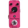 Mooer Audio ANA Echo