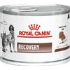 Royal Canin Recovery Cane e Gatto Umido 195g