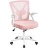 Soberine Sedia Ufficio Scrivania Ergonomica con Supporto Lombare Rosa