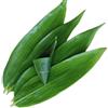 FIFIWER Foglie di banana fresche (100 pezzi, 33 cm di lunghezza x 8,1 cm di larghezza), foglie di banana fresche per cucinare, foglie di bambù adatte per la preparazione di sushi, zongzi, cena cinese,