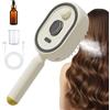 CHIBIWER Electric Spray Air Cushion Massage Comb, 26.2x12x6.7cm ABS Electric Hair Brush Women With Water Spray, 3-in-1 Anti-Static Detangling Comb & Air Cushion Massage For Smoothing Styling