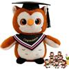Generic Bambola di peluche a forma di gufo di laurea con berretto di dottorato, classe 2026, regalo di laurea per lui o lei, peluche in morbida pelliccia di visone, per l'asilo e i laureati, simpatico gufo