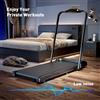 Formill Tapis Roulant Formill 2 in 1 per Camminata e Corsa, 0.75-2.5HP, Pieghevole, da Posizionare Sotto la Scrivania, Area di Corsa 38*95cm con Braccioli, Display LED, Foro per Gocciolamento Olio, Macchina