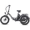 FAFREES F20 Mate Bicicletta Elettrica Motore 250W Batteria 48V20Ah Pneumatici da 20 Pollici Freno a Disco Idraulico - Grigio Antracite