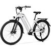 NONE PASELEC TX10 Bici Elettrica da Città 350W, Batteria 48V 19.2Ah, Pneumatici 700*40C, Bicicletta Elettrica per Pendolari con Sospensione Anteriore, 7 Velocità, Freno a Disco