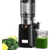 LINKChef Estrattore di Succo 250 W, Capacità 1,8 L, Estrazione a Freddo, Senza BPA
