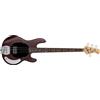 Sterling By Music Man Sterling Ray4 Basso Elettrico Walnut Satin Nuovo Professionale Spedizione Rapida