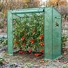 Aufun Serra in pellicola con 2 finestre di ventilazione, 200 x 80 x 150 cm, stabile per pomodori, per balconi e esterni, resistente all'inverno, per una crescita ottimale delle piante