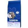 IAMS ProActive Health Adult & Mature & Senior Multi-Cat Households with Salmon & Chicken 15 kg