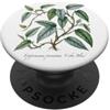 The Botany Bureau Illustrazione della pianta di Cebu Blue Pothos PopSockets PopGrip Adesivo