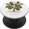 The Botany Bureau Preghiera Pianta illustrazione Maranta leuconeura PopSockets PopGrip Adesivo