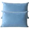 ZZDZW Lusso Cuscino Copre Caso Federa Cuscino 50x70 40x70 60x80 cm Copricuscino Per Divano con Cerniera Federe in Velluto per divano letto arredamento set di due Copricuscini(#16,60x80 cm set of 2)