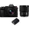 Panasonic Lumix S5D + 18-40mm f/4.5-6.3 + 50mm f/1.8 + BLK-22