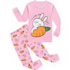 EULLA Pigiama invernale per bambini e bambine, set di pigiama invernale con unicorno, sirena, farfalla, coccinella, giraffa, gufo, principessa, a maniche lunghe, in cotone, 2 pezzi, biancheria da