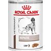 Royal Canin Hepatic Cane Umido 200g - 420g 420g