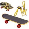 Generico Set Corda E Skate Tartaruga - Pelle PP 13,8x4,3x2,7cm | Pettorina E Skate Piccola Tartaruga | Divertenti Per Rettile | Corda Skates Allenamento Giocattolo Per Esercizio Gioco All'Aperto