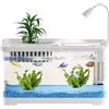 Generico Acquario Per Pesci - Acquario Betta Trasparente Con Filtro, Mini | Alimentatore Paesaggistico Trasparente Per Gamberetti Guppy Lumache Tartarughe Per Animali Domestici Da Tavolo