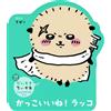 Nagano Daisuki Kichikawa Shape Book Mini Is So Cool! Sea ??Otter (Tascabile)