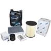 Inspektionskit Ford Focus 1,4 + 1,6 16V Con Olio Motore Wolf 5W30 59991113