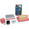 Febi Bilstein Kit Ispezione Ford Puma 1,0 EcoBoost Inclusa 5 L Olio 0W20 Castrol