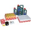 Febi Bilstein Kit Ispezione 1,5 Ecoboost Ford Kuga Con 7 Litri 0W20 Castrol Olio Motore