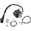 ISQJPVF For KETTENSAGEN Bobina di Accensione Con Candela MS240 MS260 MS290 MS310 MS340 MS360 MS380 MS381 MS390 MS440 Motosega 0000-400-1300