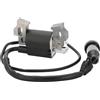 ISQJPVF For XCAN Bobina di Accensione di Ricambio 168F/170F Motore Generatore Motore Trimmer Rasaerba Parti di Attrezzi Da Giardino