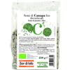 HEALTION Srl SOCIETA' BENEFIT SEMI CANAPA DECORTIC BIO 250G