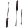 SKIR'CO 100 rivetti ciechi verniciati, 3,2 x 16 mm, in alluminio, DIN 7337, mandrino in acciaio, rivetti pop, punta da trapano inclusa (marrone cioccolato RAL 8017)