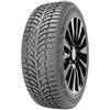 DOUBLE STAR 205/55 R16 91 T Double Star Winterking Dw08