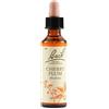 Bach Flower Remedies Cherry Plum N.6 Gocce 20 Ml