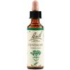 Bach Flower Remedies Centaury N.4 Gocce 20 Ml