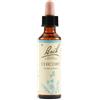 Bach Flower Remedies Chicory N.8 Gocce 20 Ml