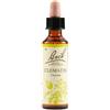 Bach Flower Remedies Clematis N.9 Gocce 20 Ml