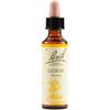 Bach Flower Remedies Gorse N.13 Gocce 20 Ml