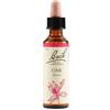 Bach Flower Remedies Oak N.22 Gocce 20 Ml