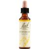 Bach Flower Remedies Hornbeam N.17 Gocce 20 Ml