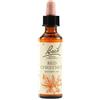 Bach Flower Remedies Red Chestnut N.25 Gocce 20 Ml