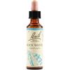 Bach Flower Remedies Rock Water N.27 Gocce 20 Ml