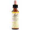 Bach Flower Remedies Wild Oat N.36 Gocce 20 Ml