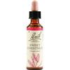 Bach Flower Remedies Sweet Chestnut N.30 Gocce 20 Ml