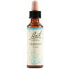 Bach Flower Remedies Vervain N.31 Gocce 20 Ml