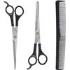 LEIBOCHAO Forbici Parrucchiere Professionali - Forbici da Parrucchiere in Acciaio Inossidabile da 6,5 Pollici con Pettine - Forbici per Capelli Ciseaux Coiffure Professionnel