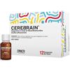 FARMACEUTICI DAMOR SpA Cerebrain 12 Flaconcini Integratore con Colina Alfoscerato