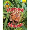 Ruth Owen Wildlife Watchers: Harvest Mouse (Tascabile) Ruby Tuesday Readers