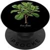 The Botany Bureau Foglia di violino Fig pianta illustrazione Ficus lyrata PopSockets PopGrip Adesivo