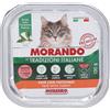 Morando Patè con Tacchino per Gatti Adulti 100 g Mangime