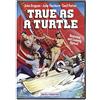 Strawberry Media True as a Turtle (DVD) John Gregson June Thorburn Cecil Parker Keith Michell