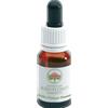 GREEN REMEDIES SpA Fiori Australiani Little Flannel Flower Gocce 15ml
