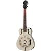 Recording KING RM-998-R Dobro